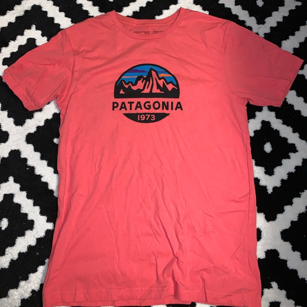 patagonia t-shirt